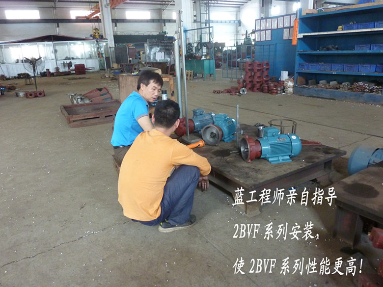 佛真工程師親自指導(dǎo)2BVF水環(huán)式真空泵的安裝，嚴格的安裝要求對水環(huán)式真空泵性能提高有著重要的作用